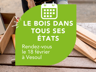 Le bois dans tous ses états